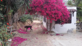 Sitia Vrisidi ranch, Sitia